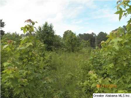 0 Kirkseys Bend Ohatchee, AL 36271 - Photo 3 of 8