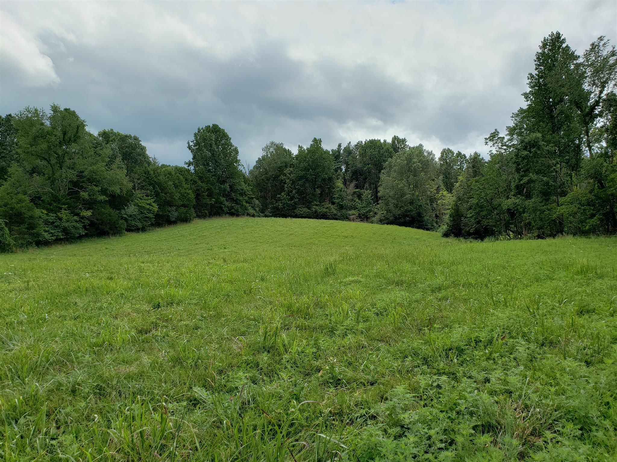 0 Hillview Road North Dickson, TN 37055 - Photo 1 of 5 Gallery Image 1