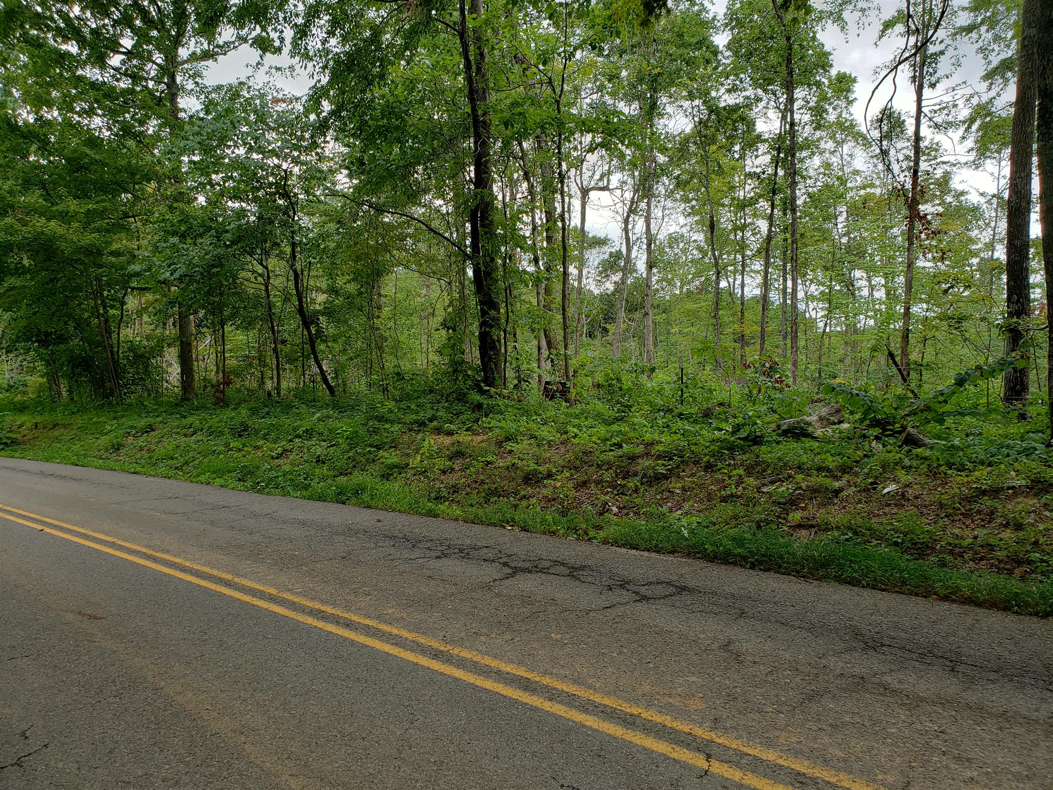 0 Hillview Road North Dickson, TN 37055 - Photo 2 of 5 front street view