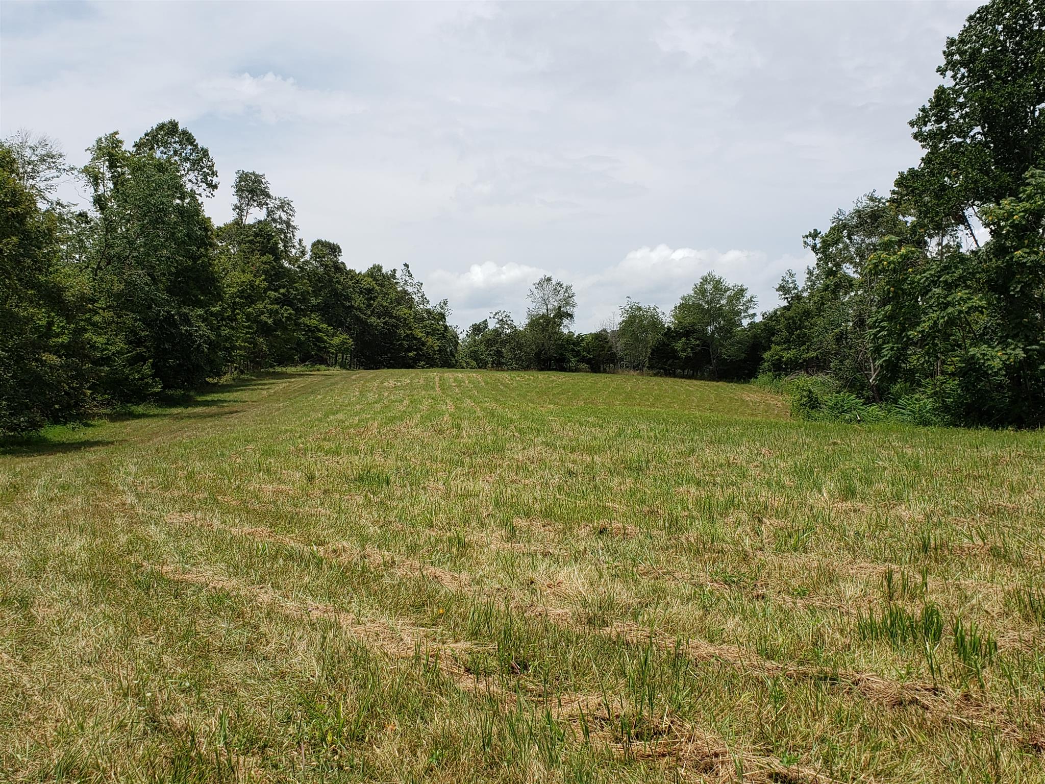 0 Hillview Road North Dickson, TN 37055 - Photo 5 of 5 Gallery Image 5