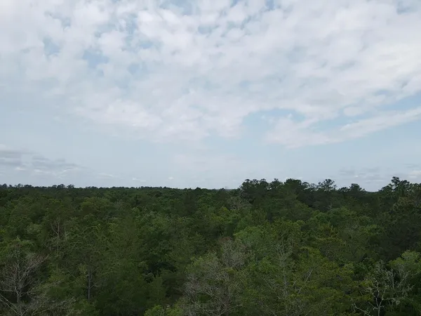 $60,000 | 0 Central Road, Midway, FL 32343