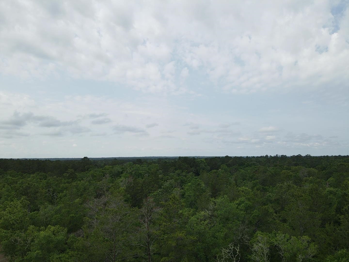 0 Central Road Midway, FL 32343 - Photo 3 of 11