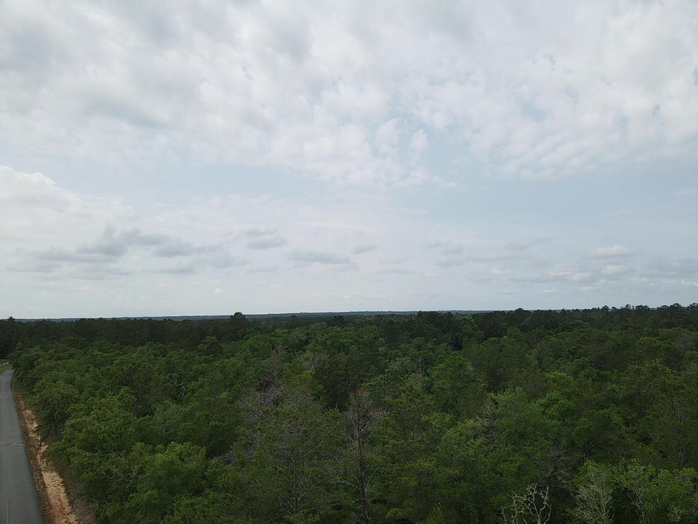 0 Central Road Midway, FL 32343 - Photo 4 of 11