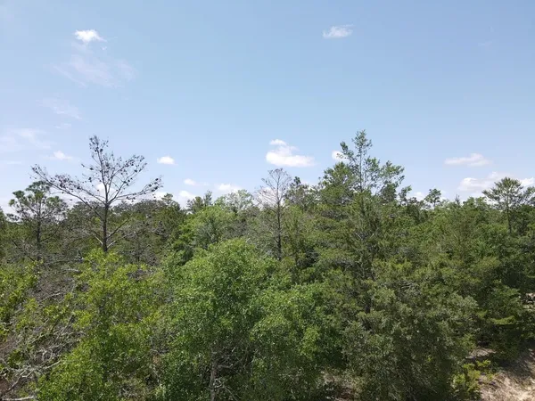 $60,000 | 0 Central Road, Midway, FL 32343