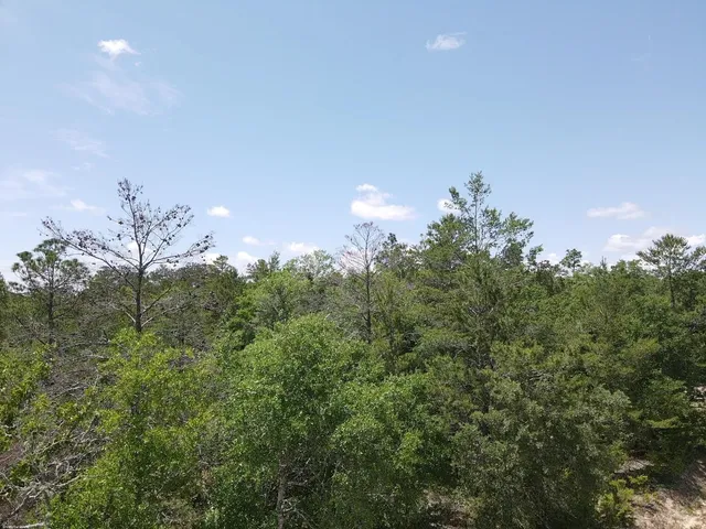 $42,000 | 0 Central Road, Midway, FL 32343