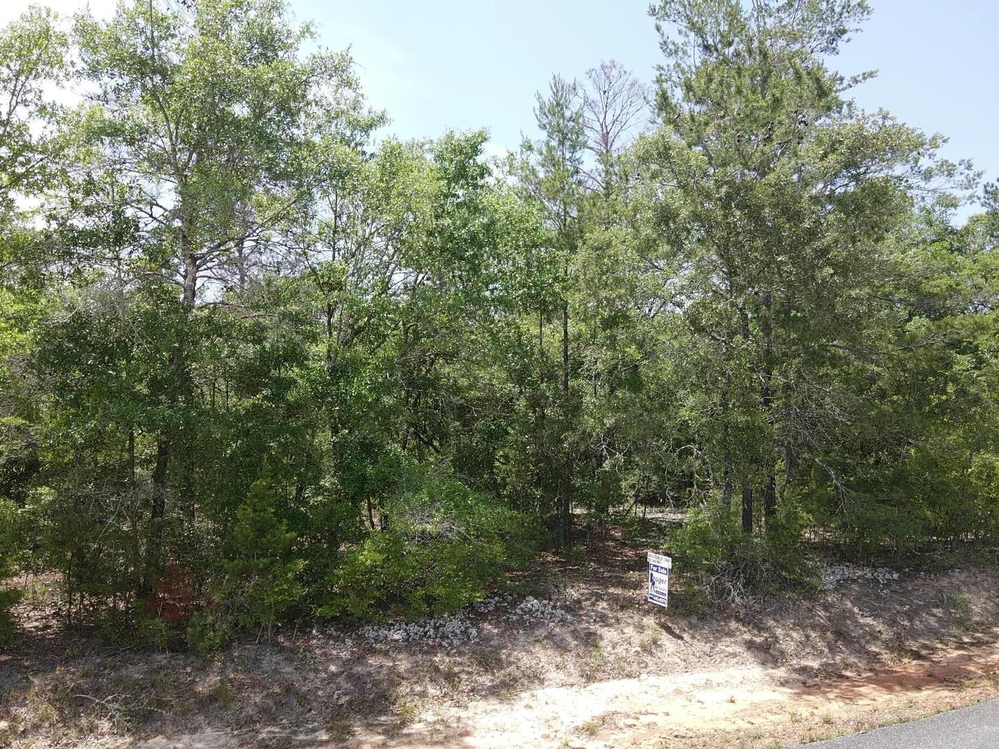 0 Central Road Midway, FL 32343 - Photo 7 of 11