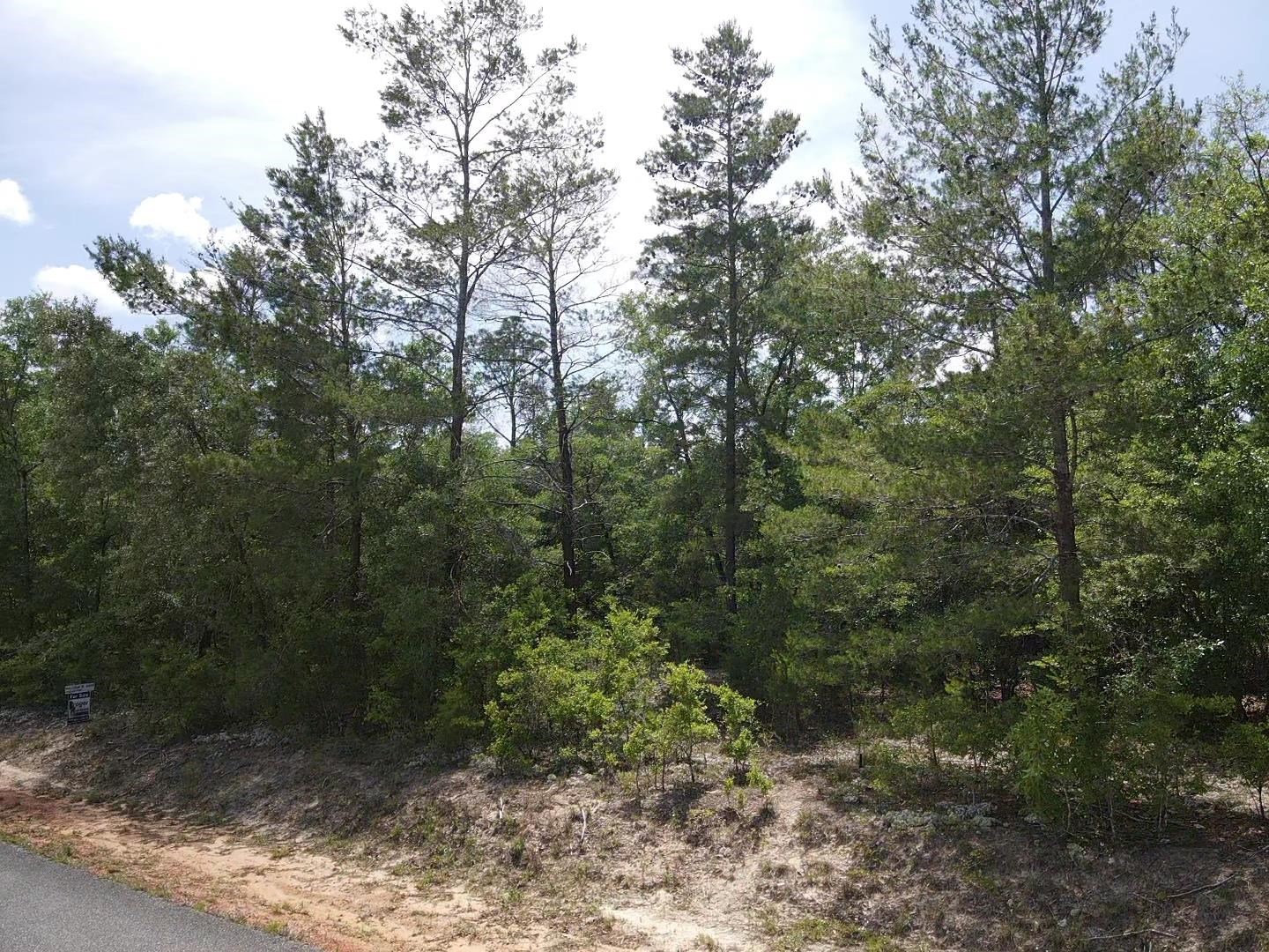 0 Central Road Midway, FL 32343 - Photo 9 of 11