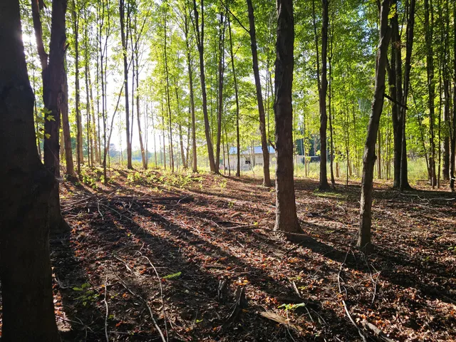 $75,000 | 00369 County Road 665, Bloomingdale, MI 49026