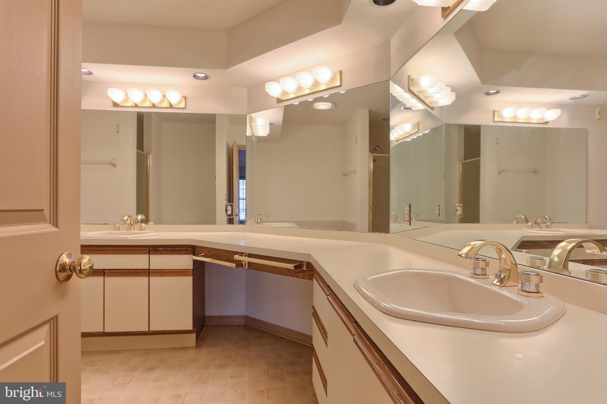 77 Cambridge Drive Hershey, PA 17033 - Photo 20 of 33 Master bath countertops forever!