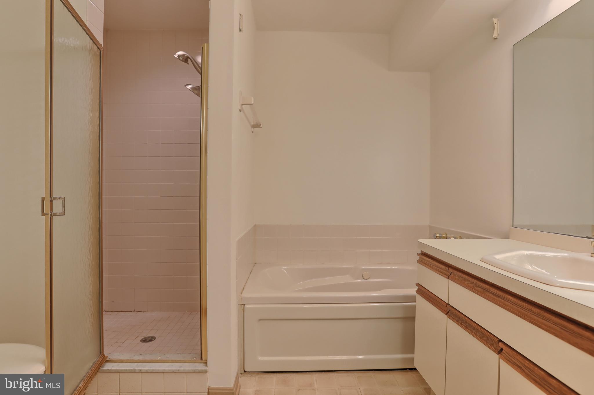 77 Cambridge Drive Hershey, PA 17033 - Photo 21 of 33 Jacuzzi tub w/stand up shower large than appears