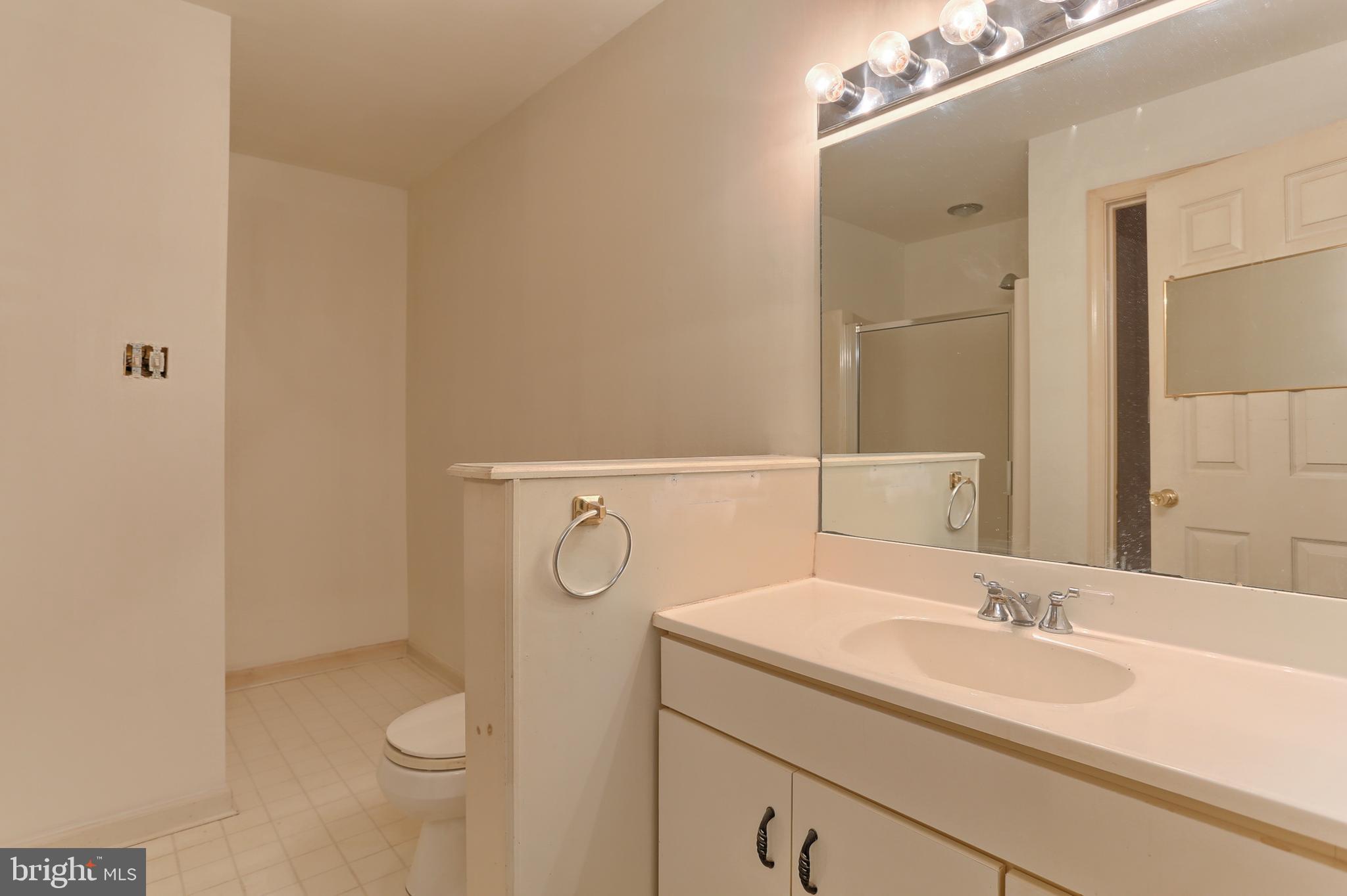 77 Cambridge Drive Hershey, PA 17033 - Photo 26 of 33 Lower level full bath with shower