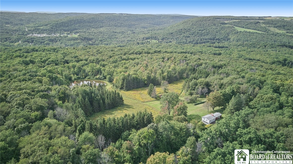 7607 Stateland Road New Albion, NY 14719 - Photo 24 of 44 Gallery Image 24