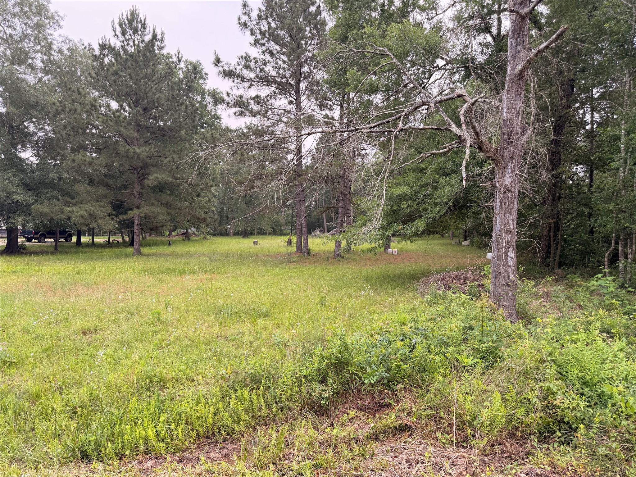 0 Forest Trail Conroe, TX 77306 - Photo 4 of 7 a view of outdoor space with trees all around