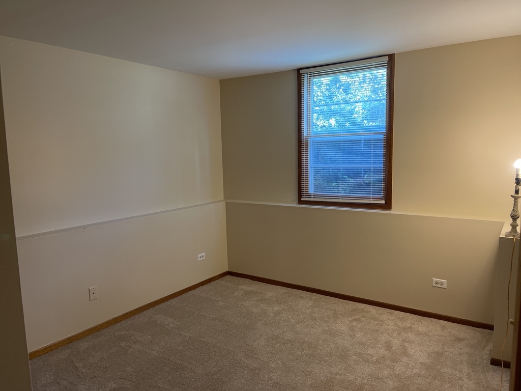 352 College Street Crystal Lake, IL 60014 - Photo 12 of 20