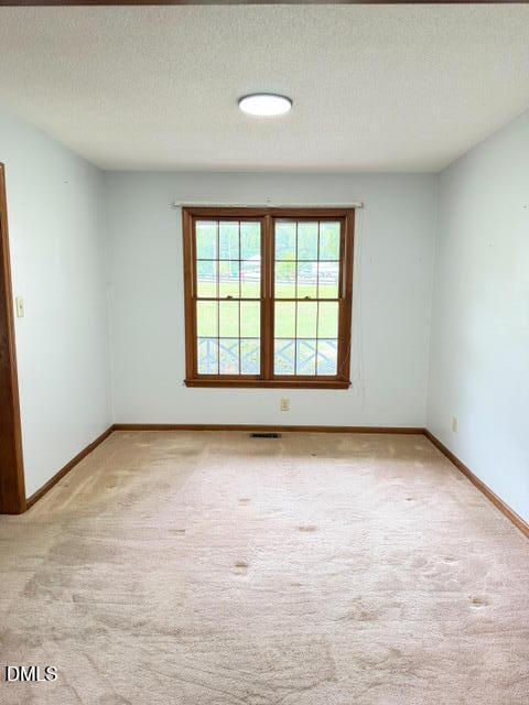 460 Dr Parrott Road Henderson, NC 27537 - Photo 13 of 23 Tezza-3379