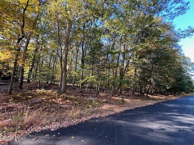 Lot 332 Racoon Road Dingmans Ferry, PA 18328 - Photo 1 of 9