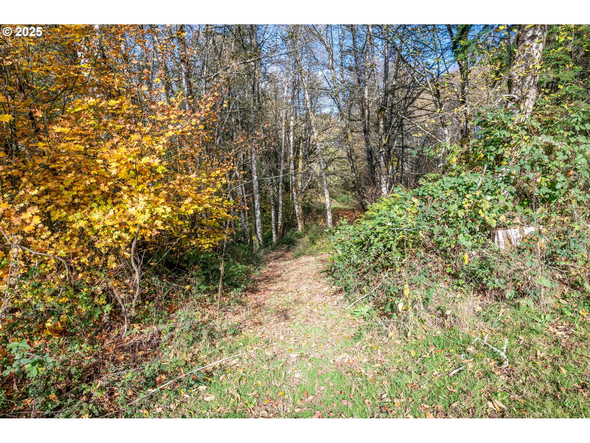 942 Stella Road Longview, WA 98632 - Photo 18 of 28