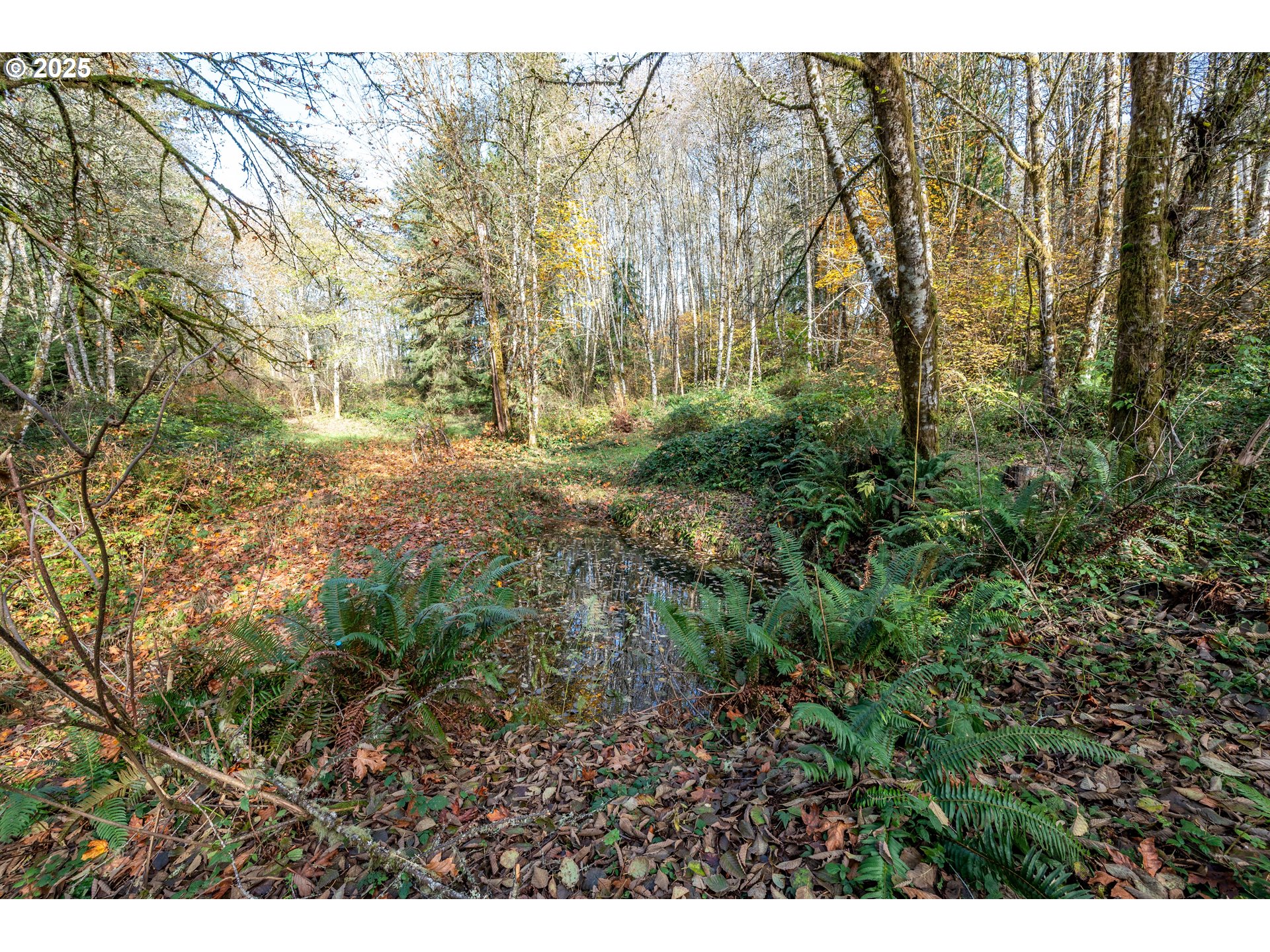 942 Stella Road Longview, WA 98632 - Photo 19 of 28