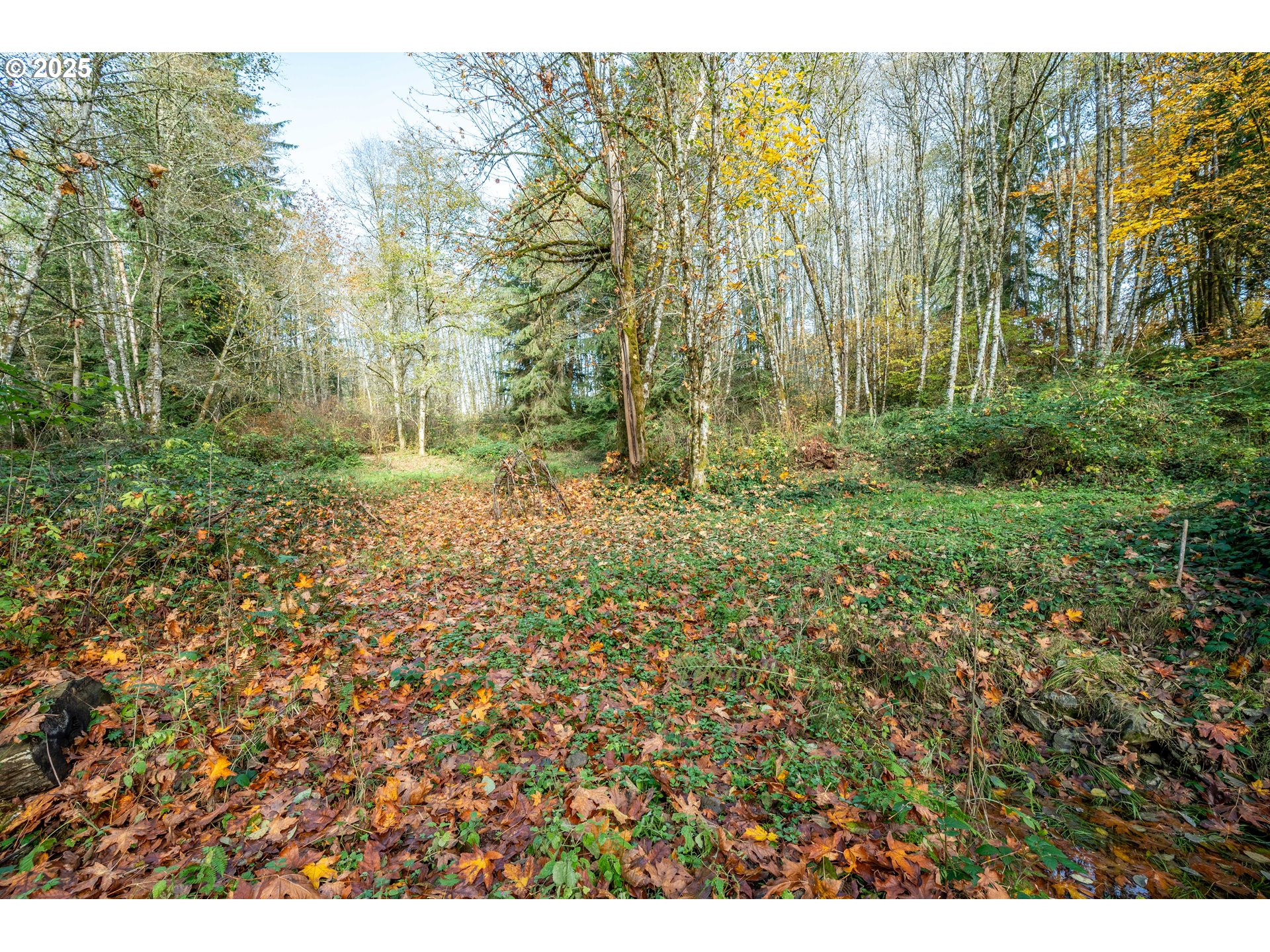 942 Stella Road Longview, WA 98632 - Photo 20 of 28