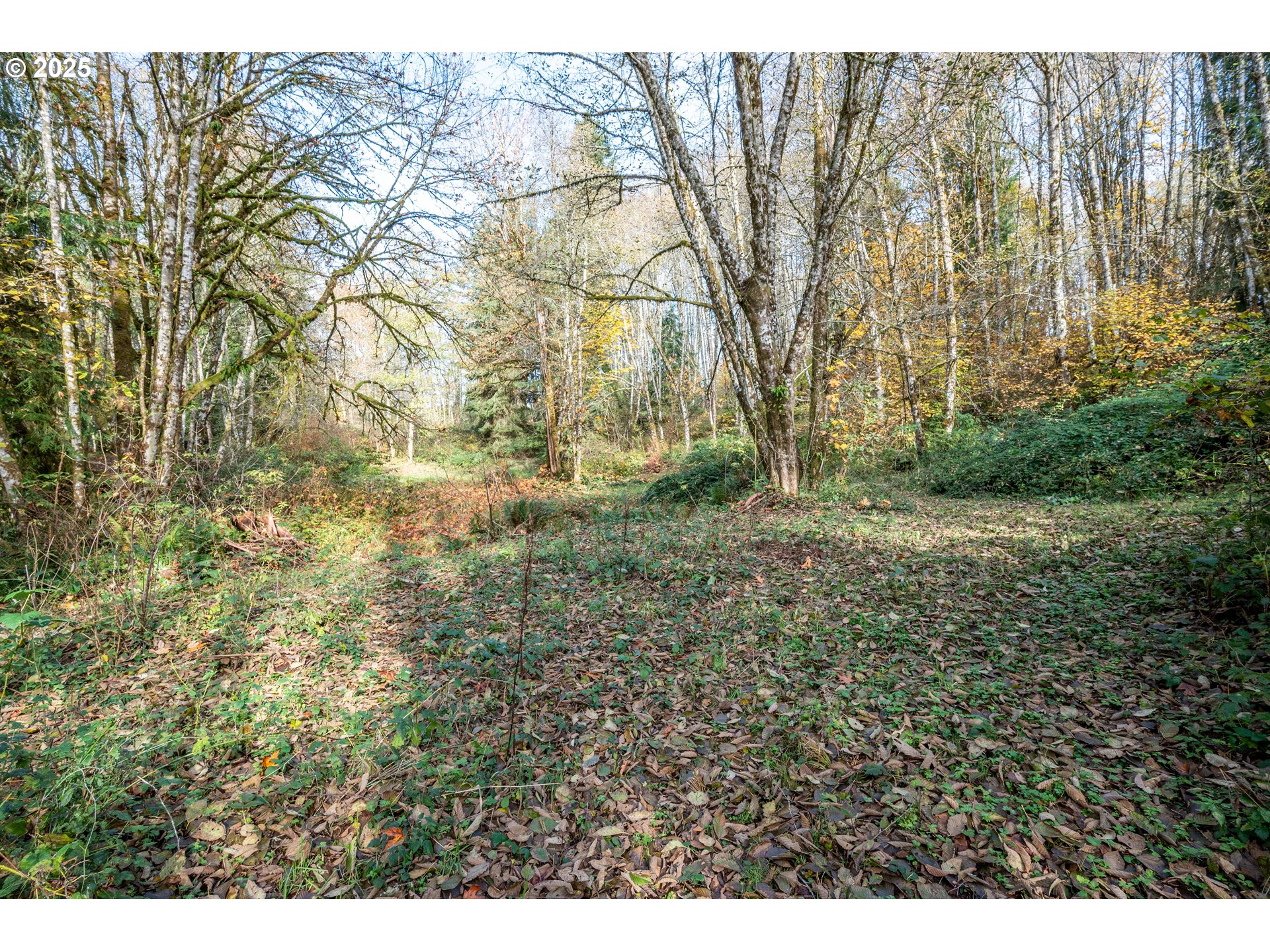 942 Stella Road Longview, WA 98632 - Photo 21 of 28