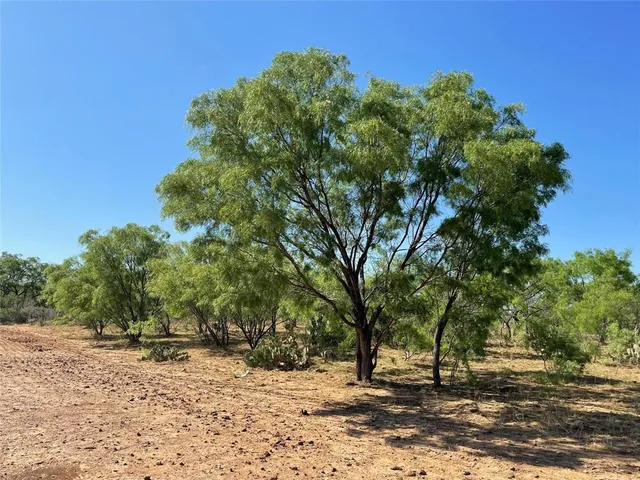 a view of dirt yard with a tree