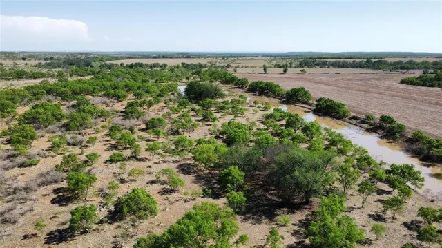 a view of a yard with plants