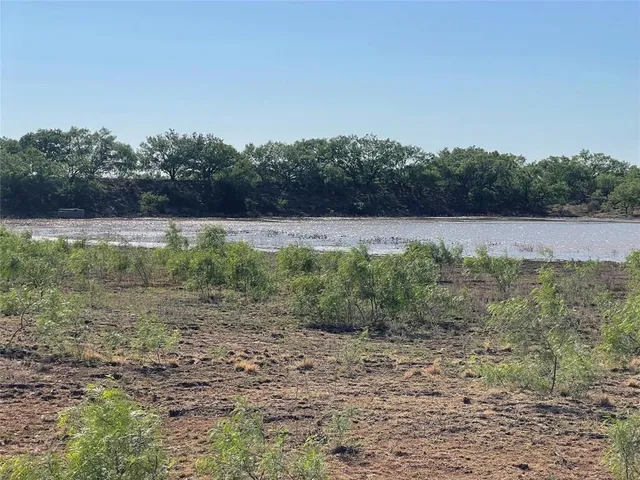 a view of a dry yard