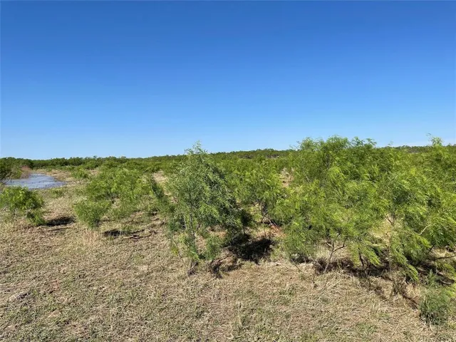 a view of a yard with plants and trees