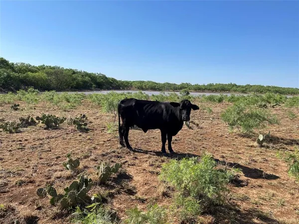 $871,782 | 1047 County Road 346, Unit 218, Gouldbusk, TX 76845