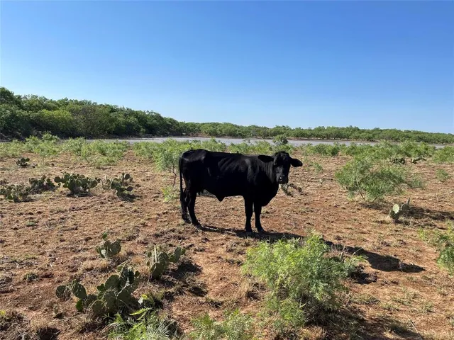 $871,782 | 1047 County Road 346, Unit 218, Gouldbusk, TX 76845