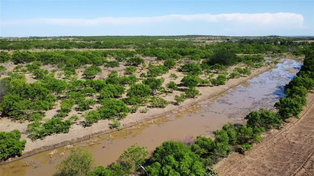 a view of a yard with a garden