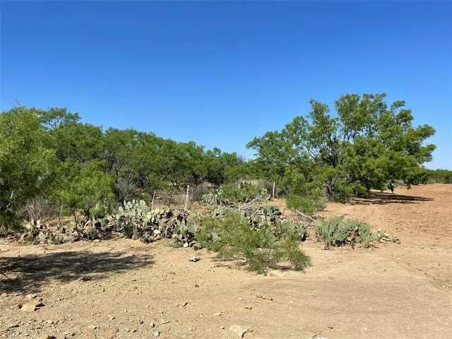 a view of dirt yard with a tree
