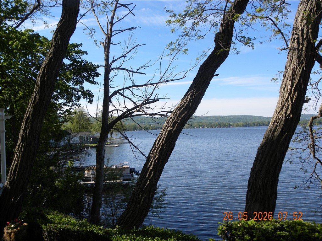 3763 Lamoka Lake Road Tyrone, NY 14815 - Photo 3 of 25 Lake view #1