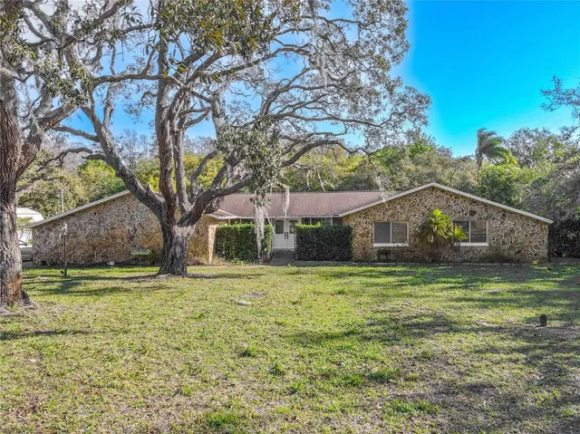 a house that has a tree in front of the house