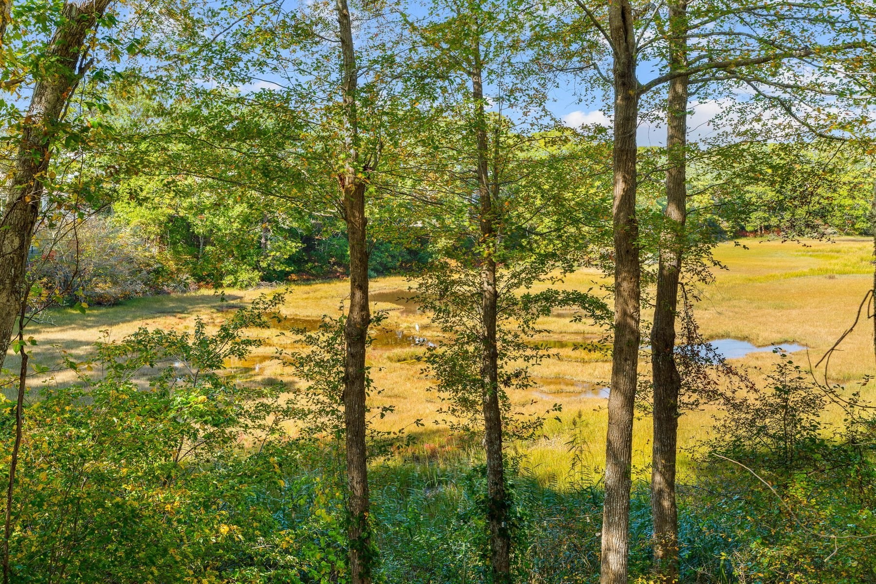 44 Summersea Road, Unit 17 Mashpee, MA 02649 - Photo 39 of 42 Gallery Image 39