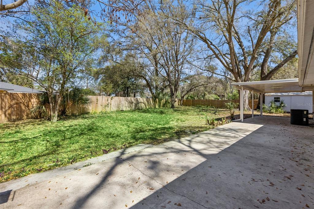 549 Iris Street Altamonte Springs, FL 32714 - Photo 26 of 28 a view of a park that has a tree on the side of it