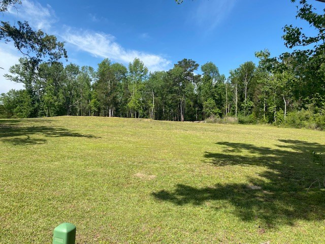 111 Cedar Ridge Road McComb, MS 39648 - Photo 3 of 9 Photo 3