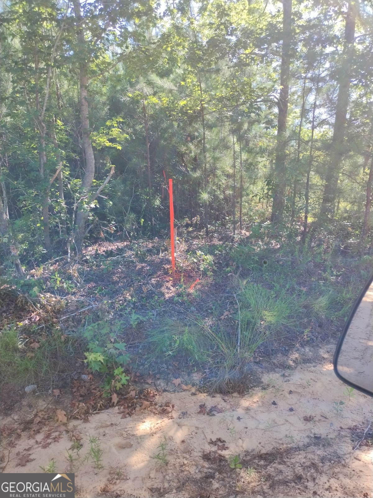 0 Moore Road South Register, GA 30452 - Photo 11 of 18