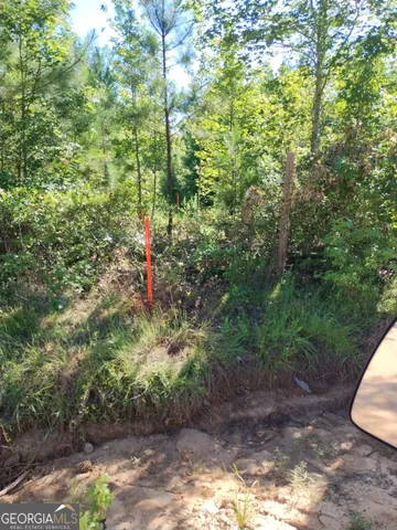 $61,500 | 0 Moore Road South, Register, GA 30452