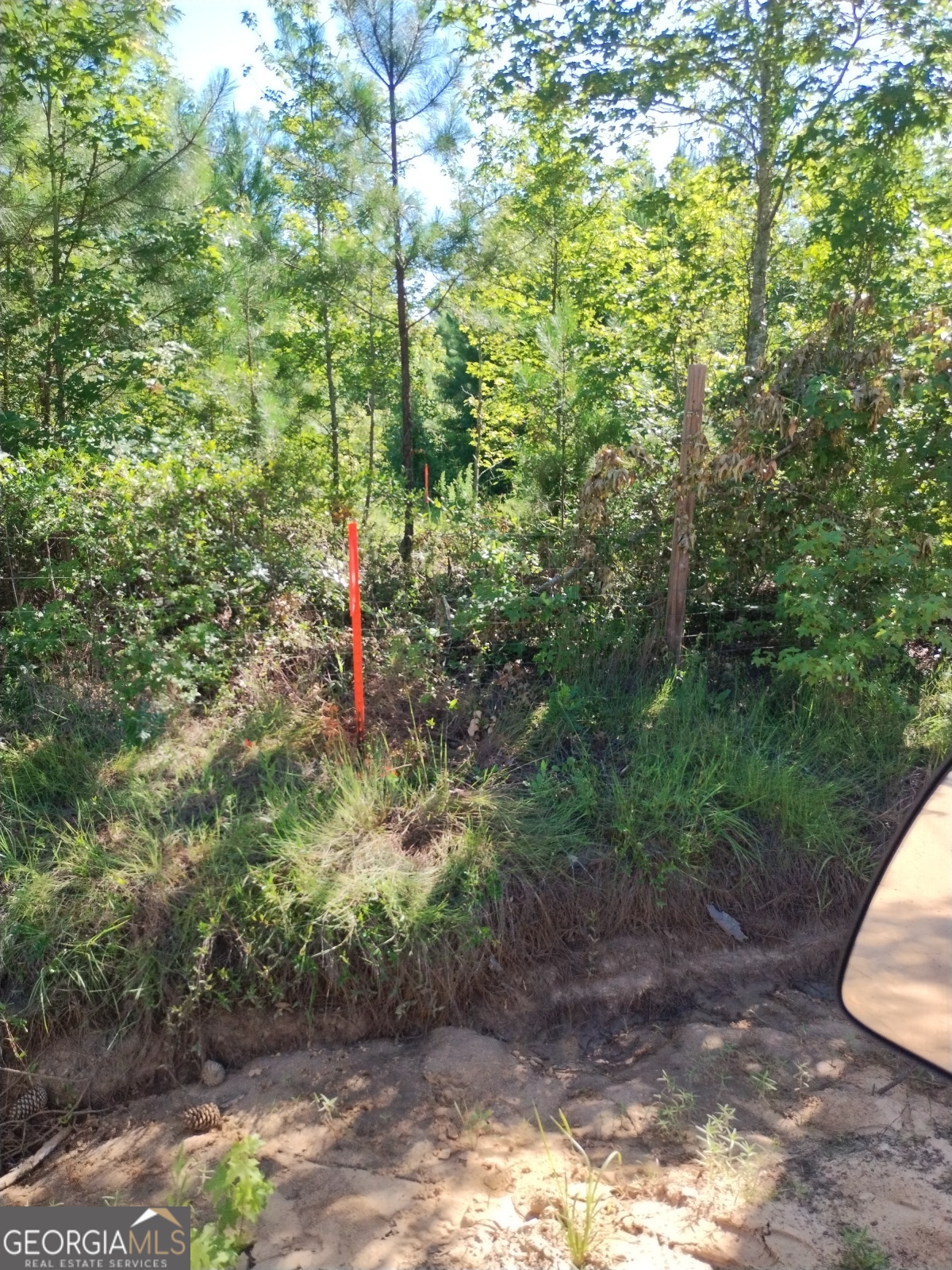 0 Moore Road South Register, GA 30452 - Photo 12 of 18