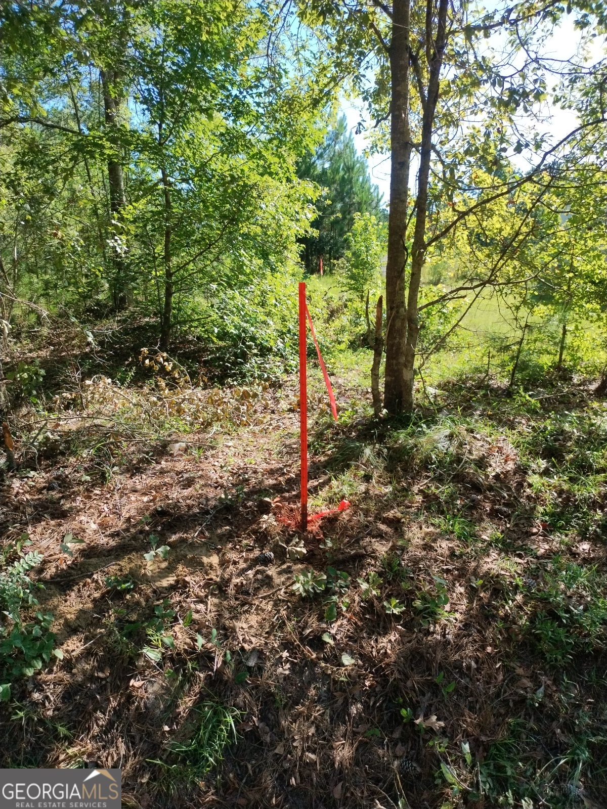 0 Moore Road South Register, GA 30452 - Photo 13 of 18