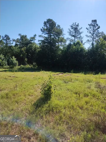 $61,500 | 0 Moore Road South, Register, GA 30452