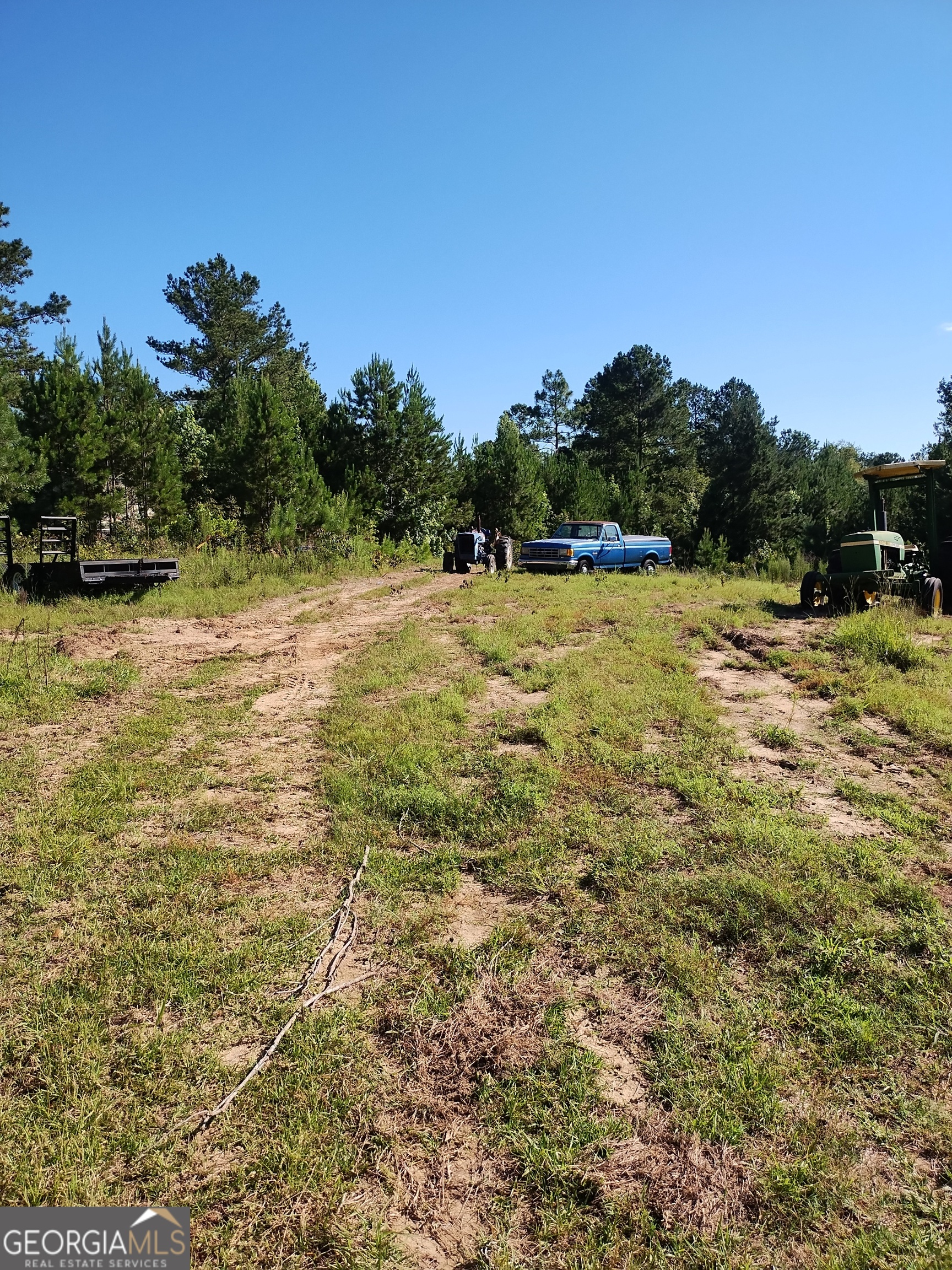 0 Moore Road South Register, GA 30452 - Photo 4 of 18