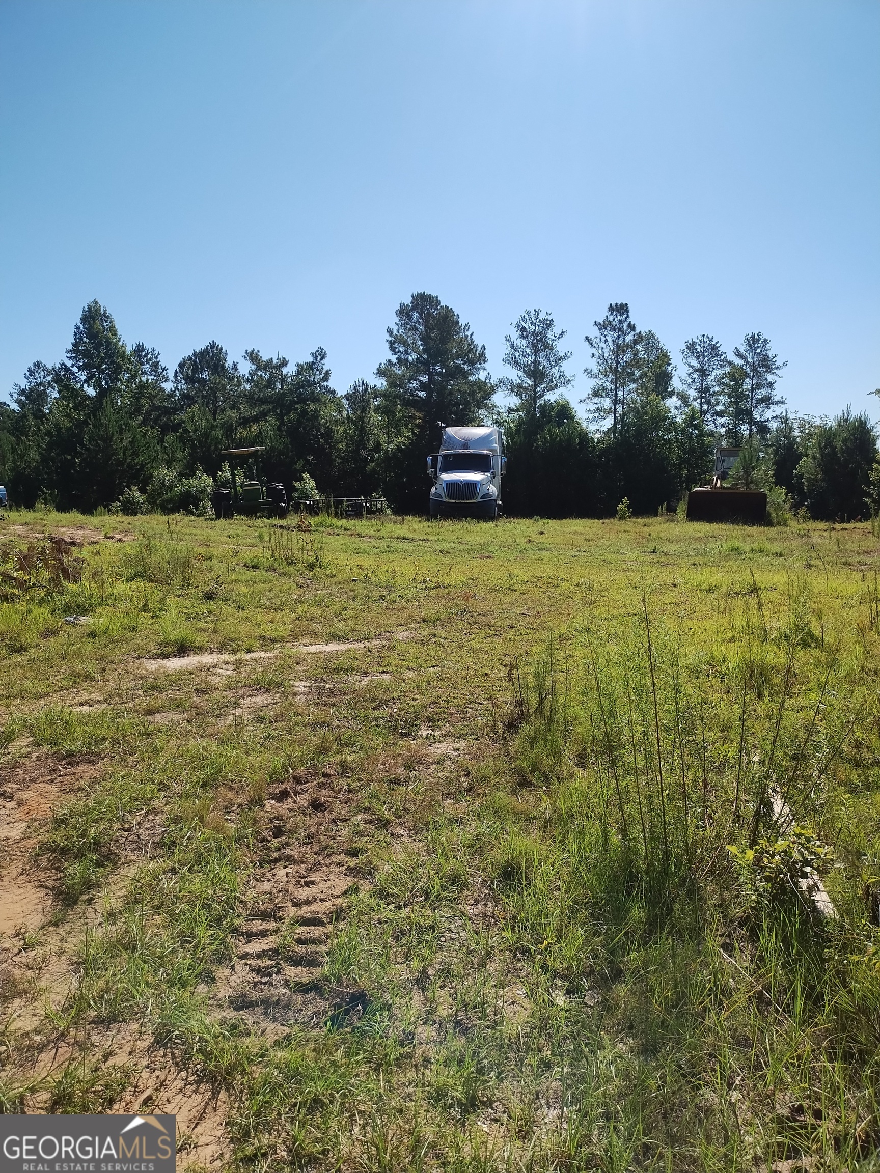 0 Moore Road South Register, GA 30452 - Photo 5 of 18