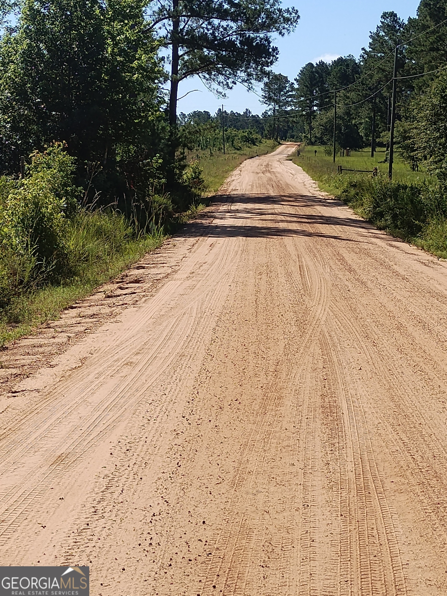 0 Moore Road South Register, GA 30452 - Photo 7 of 18