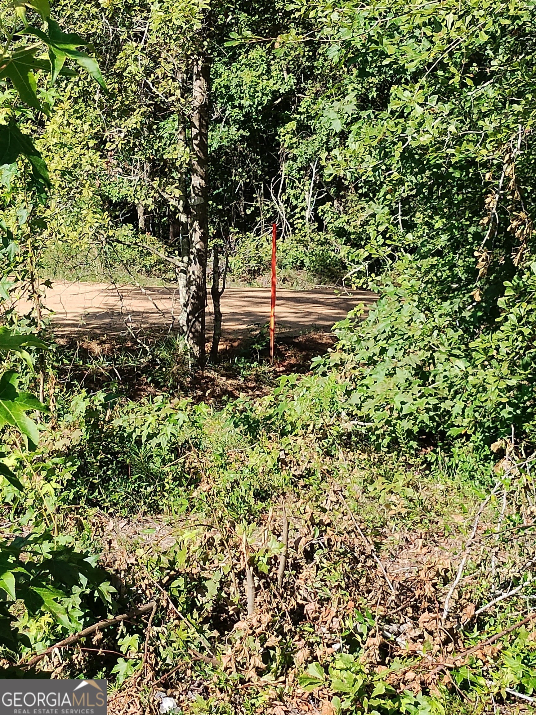 0 Moore Road South Register, GA 30452 - Photo 9 of 18