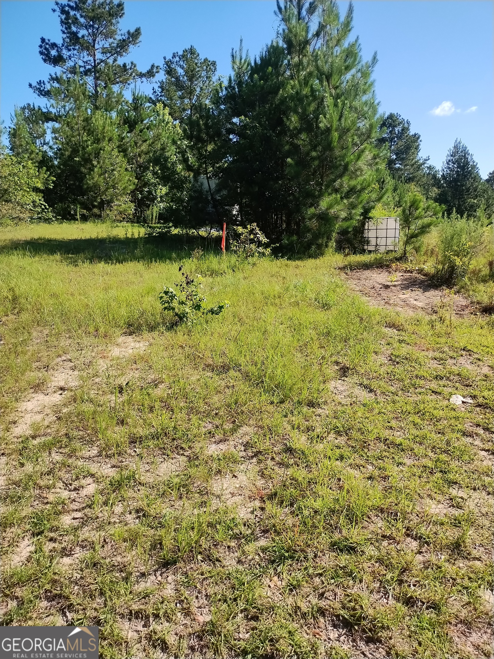 0 Moore Road South Register, GA 30452 - Photo 10 of 18