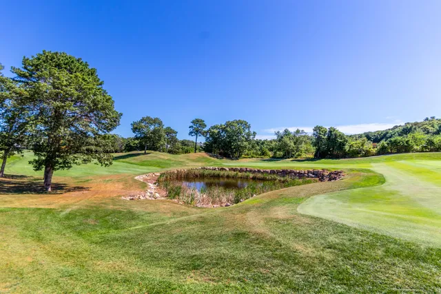 a view of an ocean yard