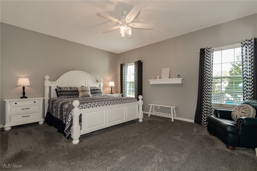 8371 Orchard Road Painesville, OH 44077 - Photo 25 of 47 Gallery Image 25