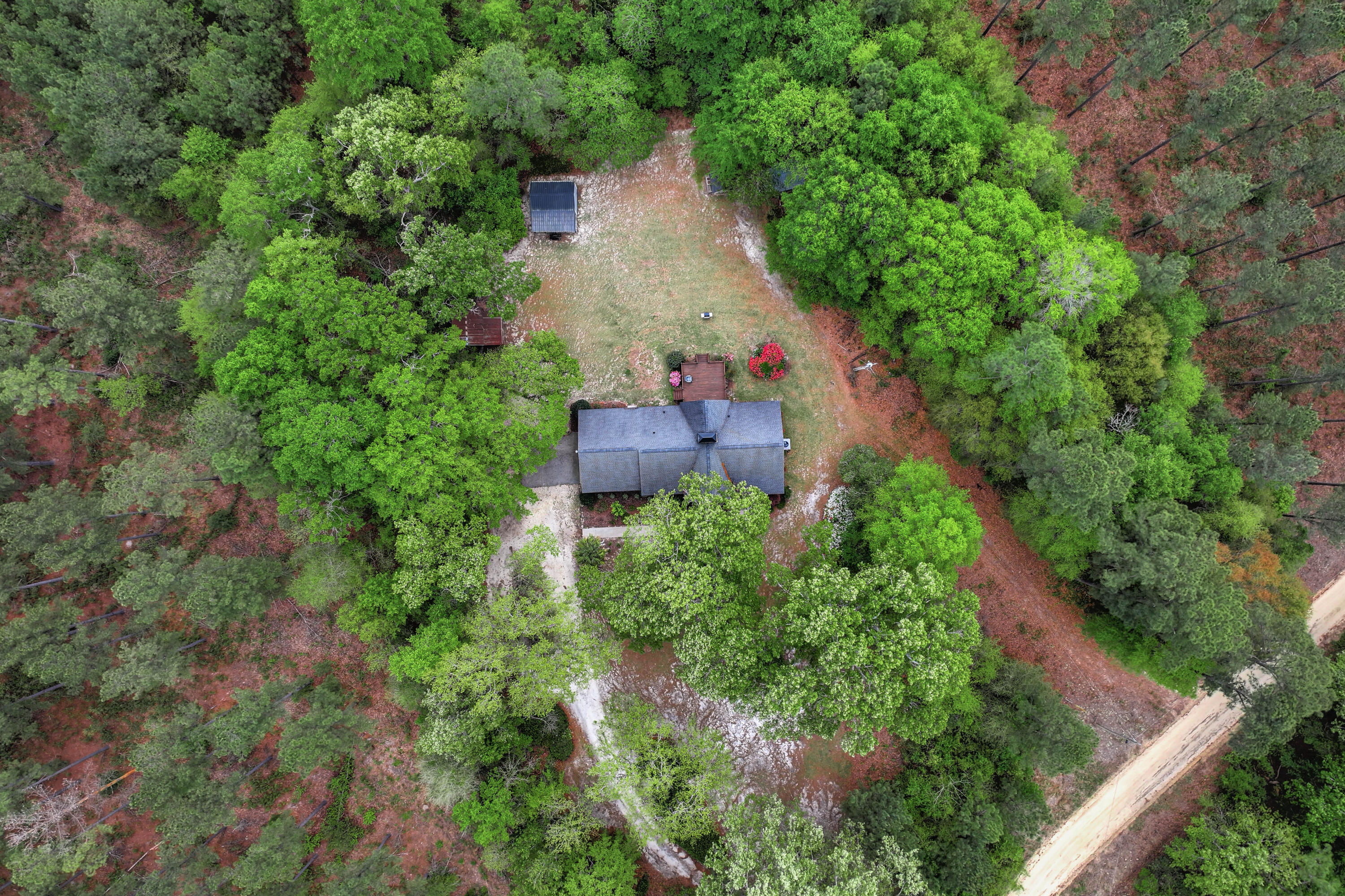 45 Daisy Lane Barnwell, SC 29812 - Photo 2 of 27 03-107